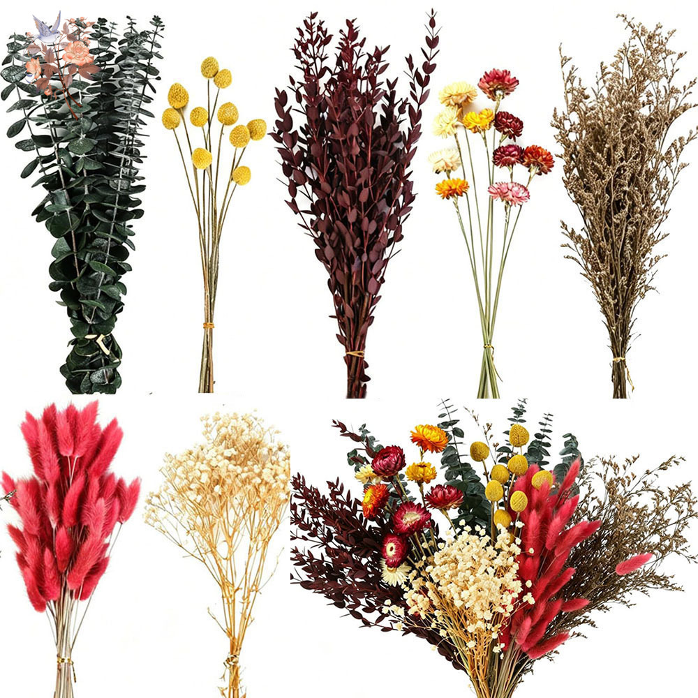 Florist Flower Supply - ドライフラワーの詰め合わせセット。7種類の天然ユーカリの葉を使用。カラフルな花束で、結婚式や花屋さんの仕入れ、リビングの装飾に最適。