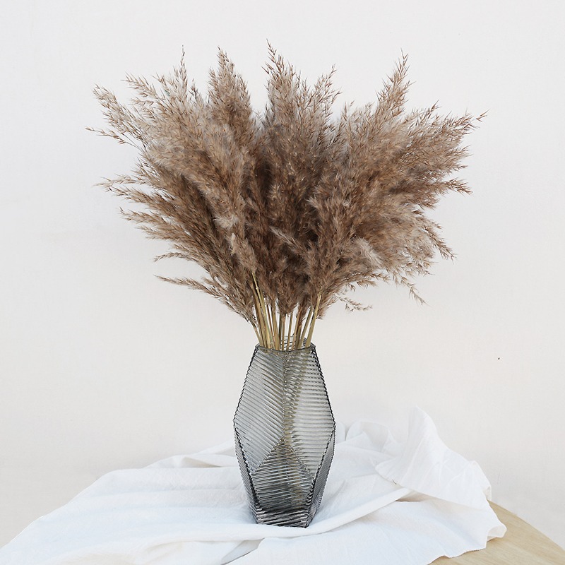 Florist Supply Vases - 10個入り カラフルな天然葦 パンパスグラス ドライフラワー ホームベース装飾 記念日