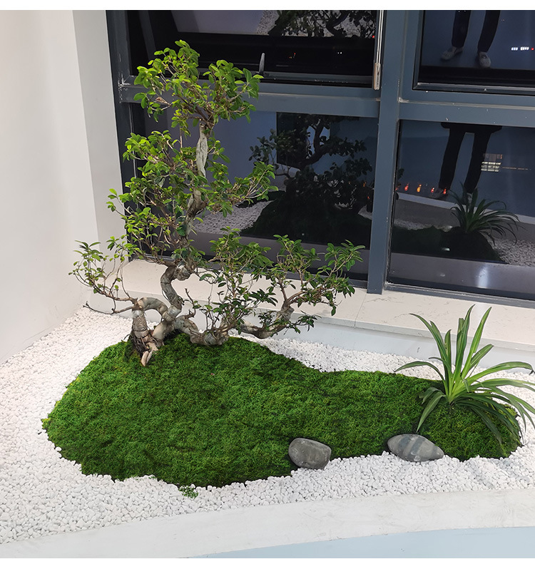 Preserved Moss Sheet - 人工苔フィラメント苔芝生人フェイクモス色褪せないDIYシーンレイアウト