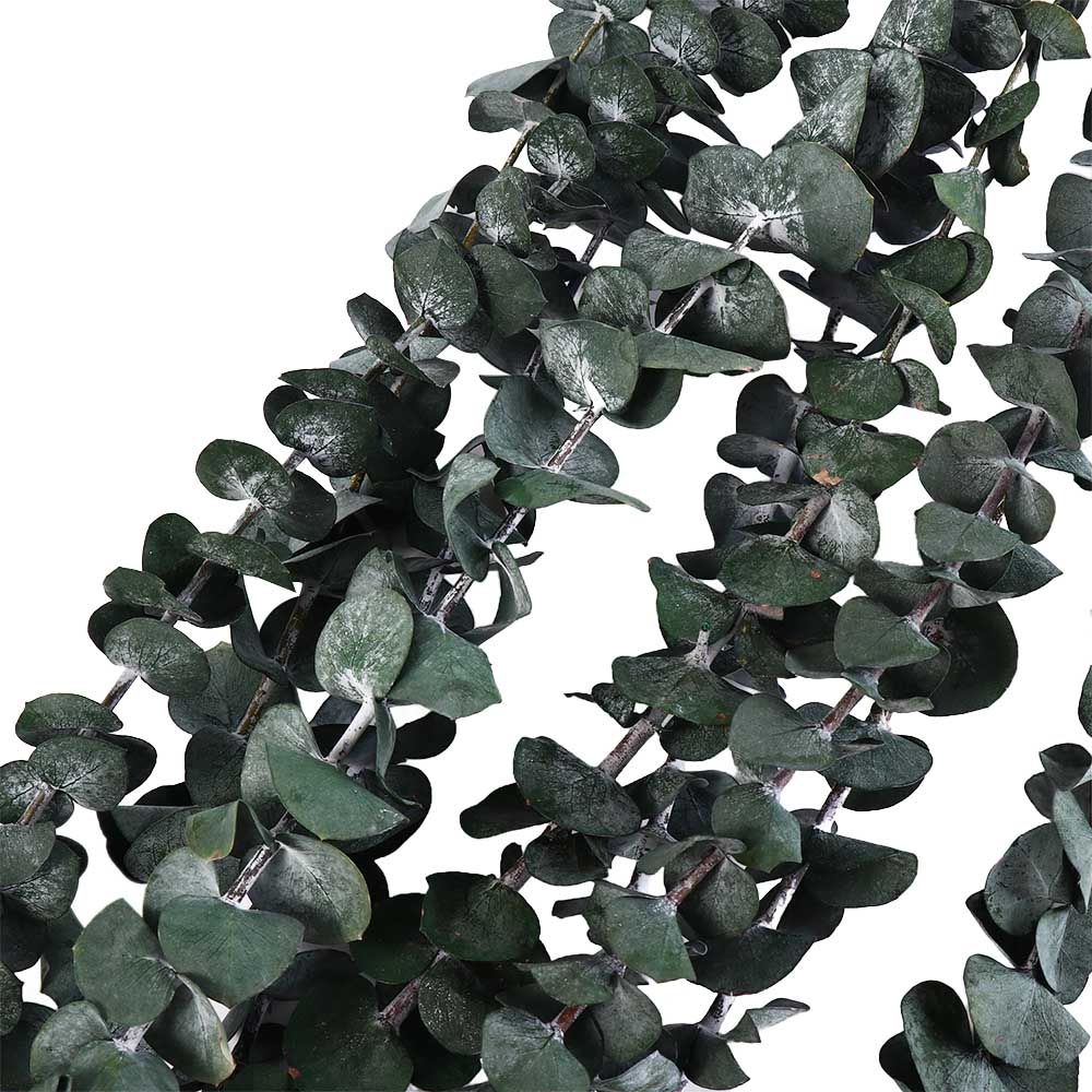 10個入り 本物の葉っぱのドライユーカリ 大きな緑の保存され - Eucalyptus Preserved のレビューと価格