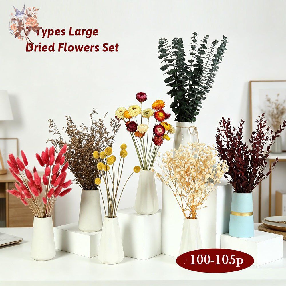 ドライフラワーの詰め合わせセット。7種類の天然ユーカリの葉を - Florist Flower Supply のレビューと価格