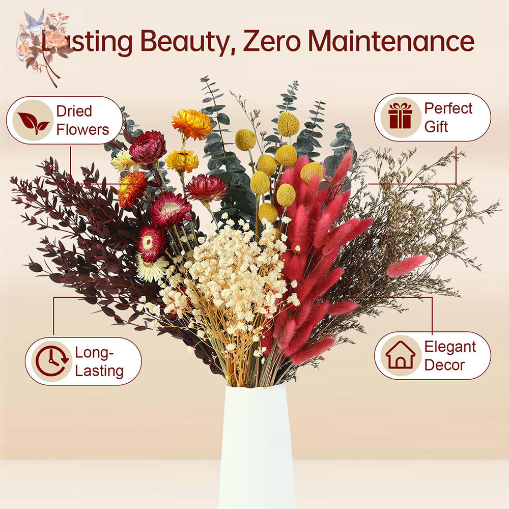 ドライフラワーの詰め合わせセット。7種類の天然ユーカリの葉を - Florist Flower Supply のレビューと価格