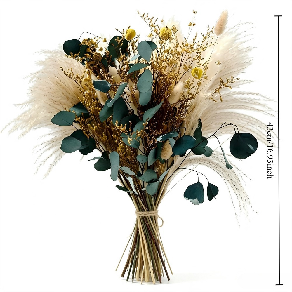 自然乾燥パンパスグラスブーケ、保存されたユーカリの葉、ビリー - Eucalyptus Preserved のレビューと価格