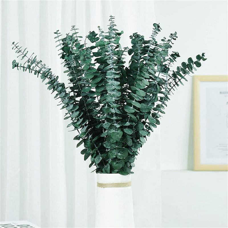 10 個本物のユーカリの葉乾燥天然新鮮な永遠ユーカリの枝プリ - Eucalyptus Preserved のレビューと価格