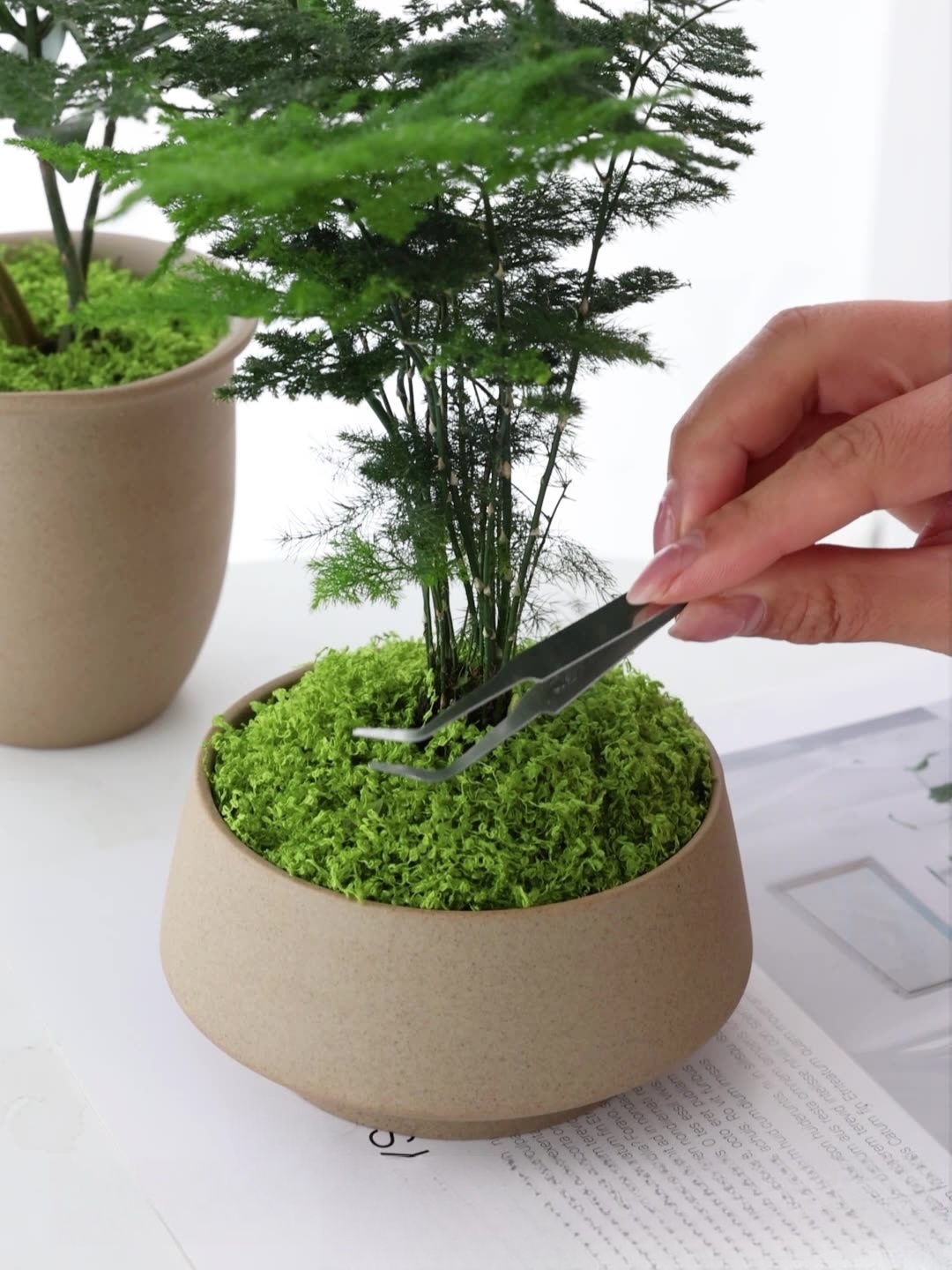 人工苔フィラメント苔芝生人フェイクモス色褪せないDIYシーン - Preserved Moss Sheet のレビューと価格