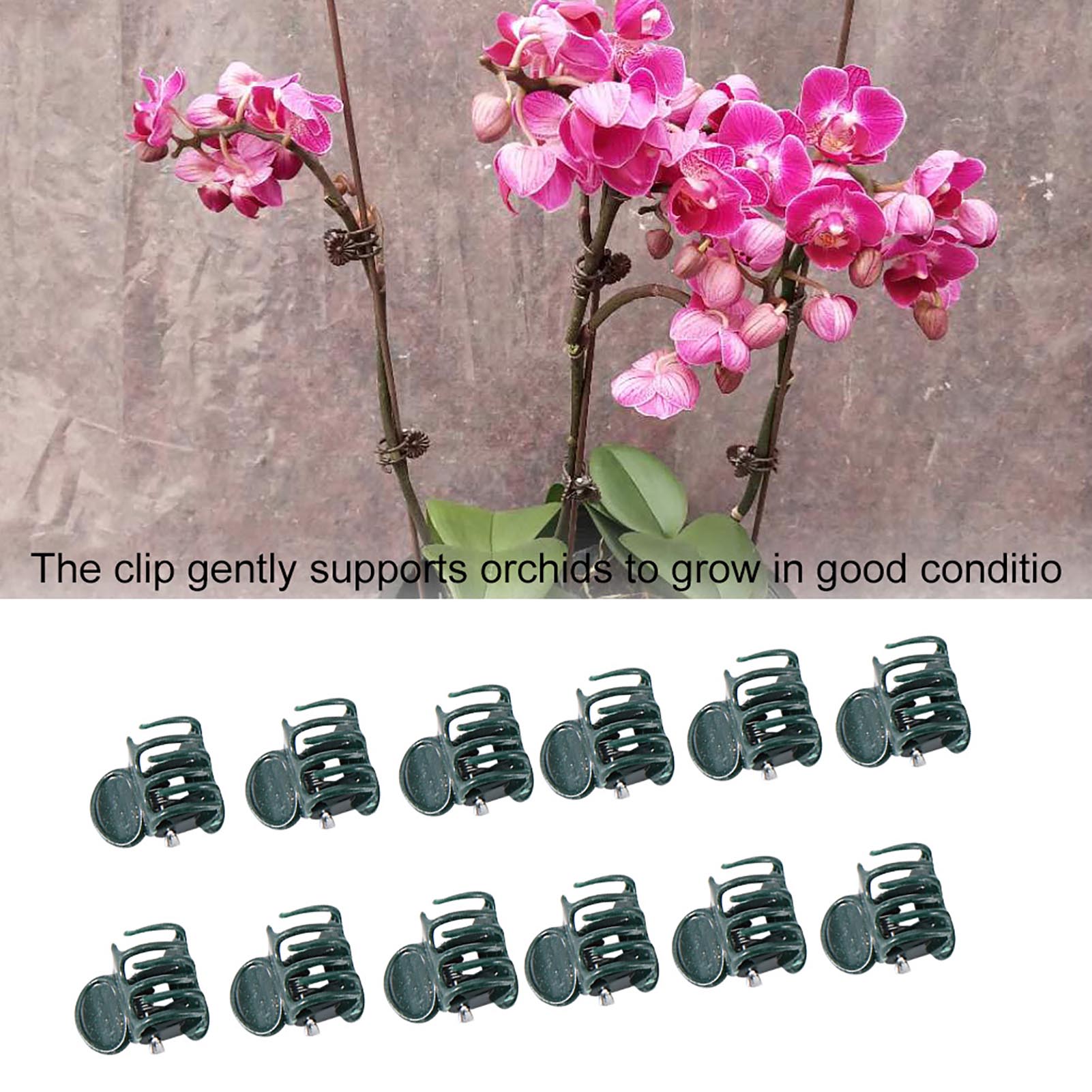 ミニガーデンフラワークリップ、蘭、デイジー、茎の植物サポート - Florist Supply Bulk のレビューと価格