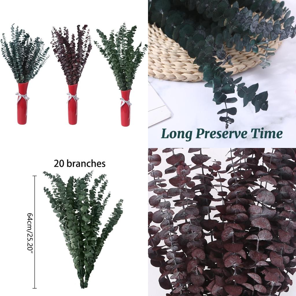 20 個保存新鮮なユーカリの枝乾燥茎植物の葉の花束フラワーア - Eucalyptus Preserved のレビューと価格