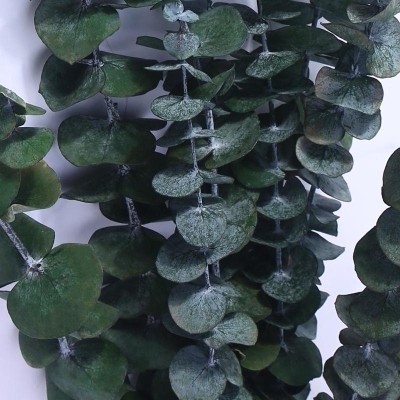 20 個保存新鮮なユーカリの枝乾燥茎植物の葉の花束フラワーア - Eucalyptus Preserved のレビューと価格