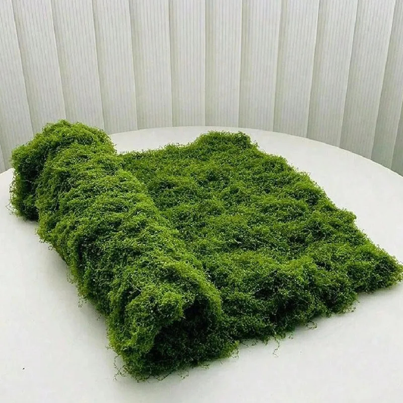 マイクロランドスケープの装飾用人工苔、芝生用苔、盆栽、鉢植え - Preserved Moss Sheet のレビューと価格